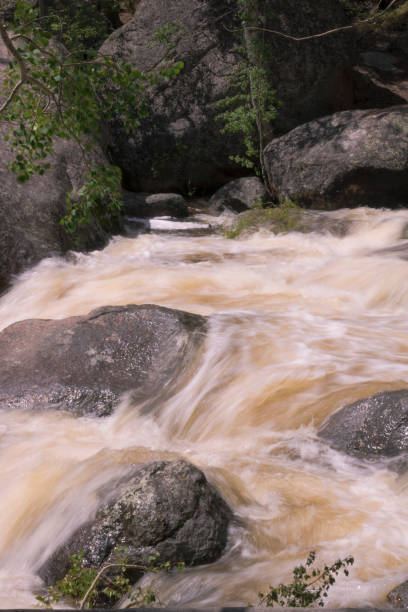 fluss, der durch den rocky mountain national park - big thompson river stock-fotos und bilder