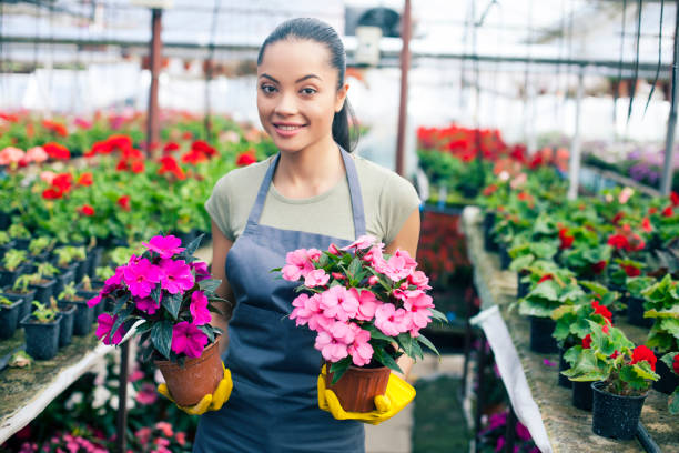 istock Woman in greenhouse 697729346