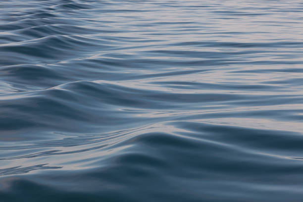 istock Repetitive waves in the ocean. 697732478