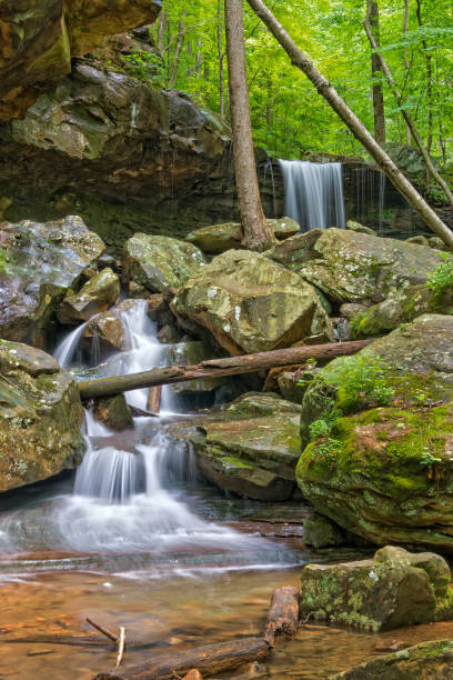 istock Emory Gap Falls In Frozen Head State Park In Eastern Tennessee 697732614