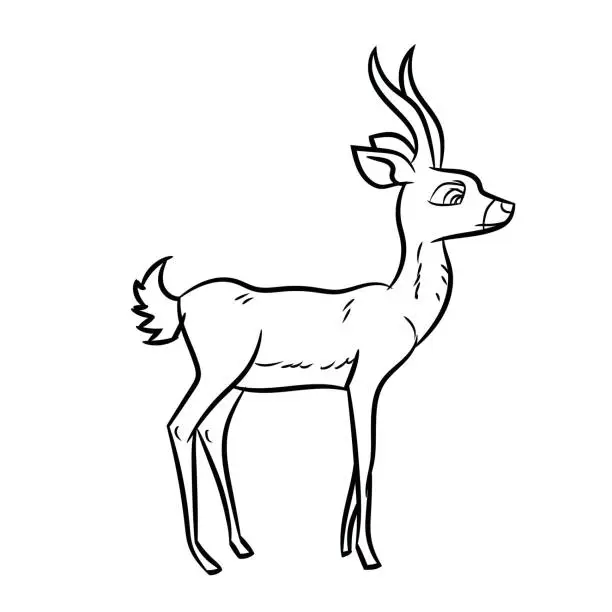 Vector illustration of Antelope Cartoon - Line Drawn Vector