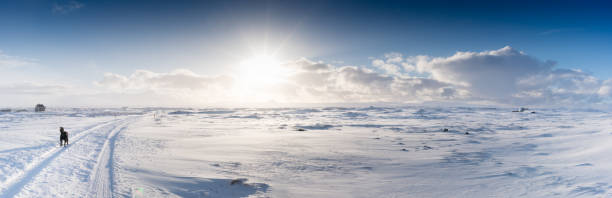 istock view of iceland winter 697740560