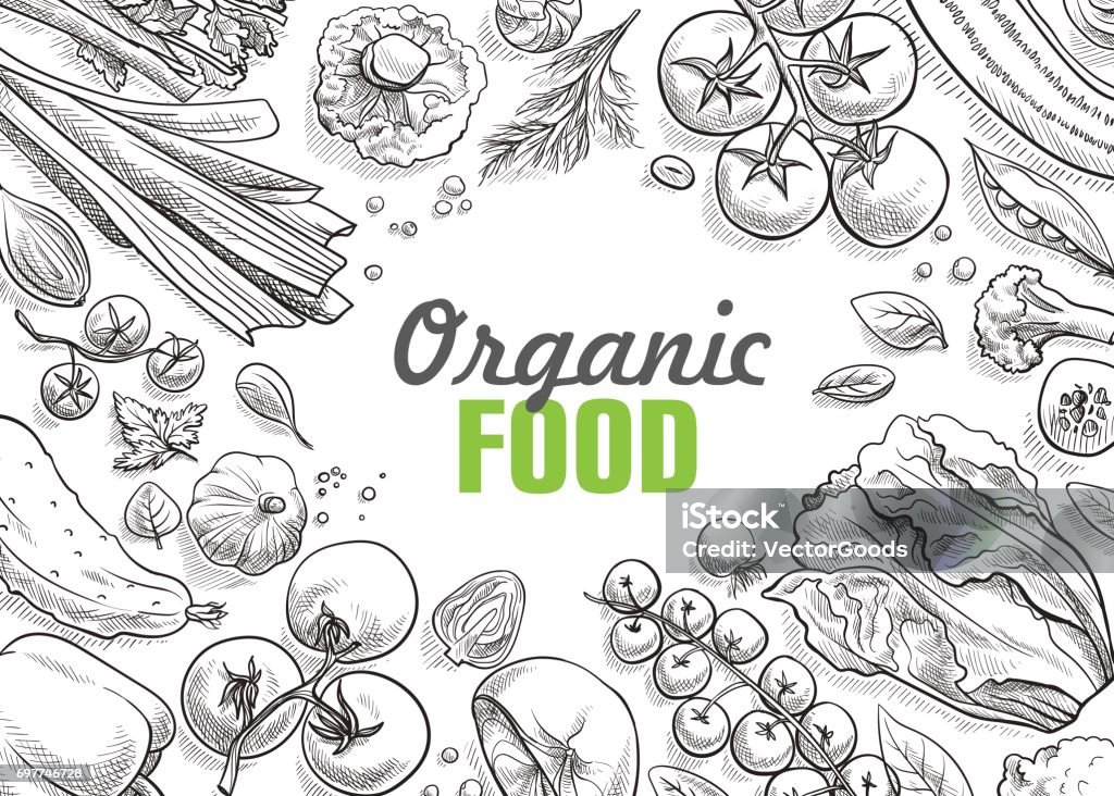collection of vegetables hand-drawn collection of vegetables hand-drawn vector illustration Agriculture stock vector