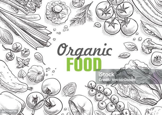 Collection Of Vegetables Handdrawn Stock Illustration - Download Image Now - Agriculture, Backgrounds, Black Color