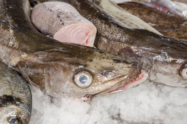 istock Fresh seafood on ice at the fish market 697749648
