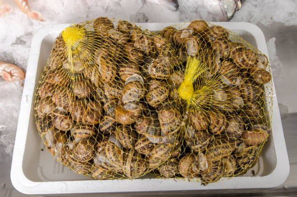 istock Fresh seafood on ice at the fish market 697750040