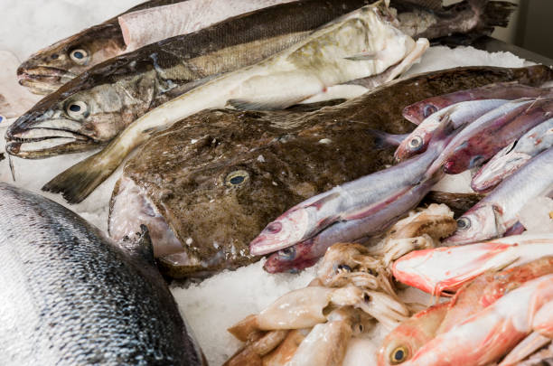 istock Fresh seafood on ice at the fish market 697750212