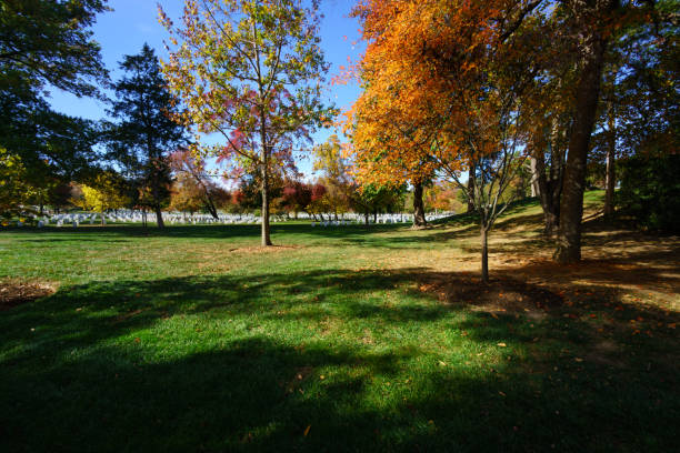 istock view of washington dc in the fall 697752900