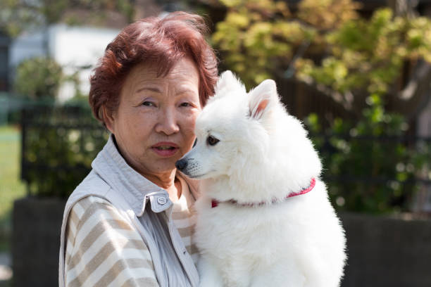 istock Dog pet and senior woman 697754152