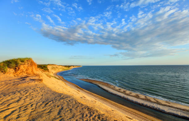 przylądek dorsz linia brzegowa - cape cod national seashore zdjęcia i obrazy z banku zdjęć