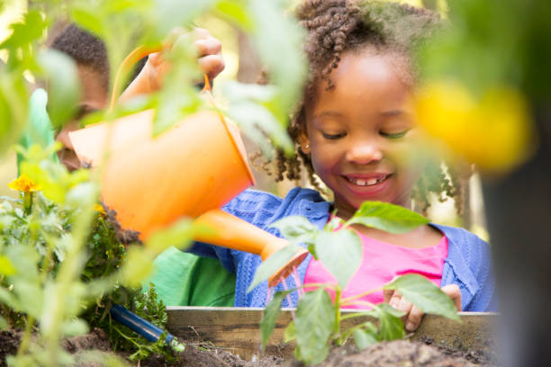 crianças de ascendência africana jardinagem ao ar livre na primavera. - gardening child vegetable garden vegetable - fotografias e filmes do acervo