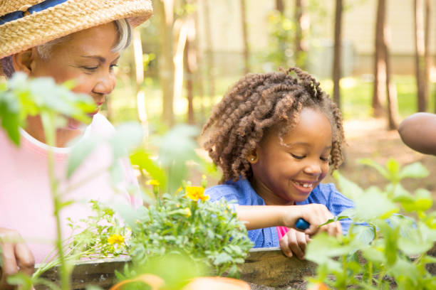 istock Grandmother and child gardening outdoors in spring. 697768904