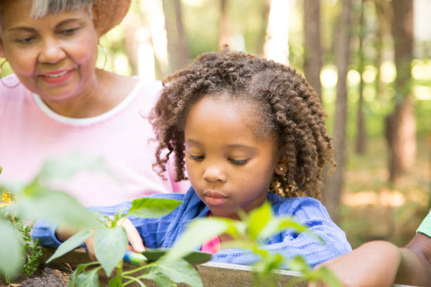 istock Grandmother and child gardening outdoors in spring. 697769092