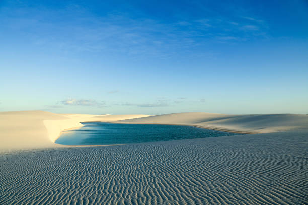 Sand dunes and lagoon in north of Brazil stock photo