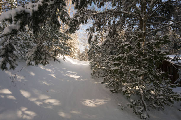 istock picture taken in ontario canada 697773162
