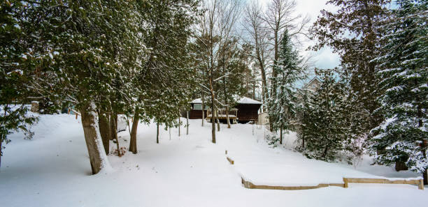 istock picture taken in ontario canada 697773224