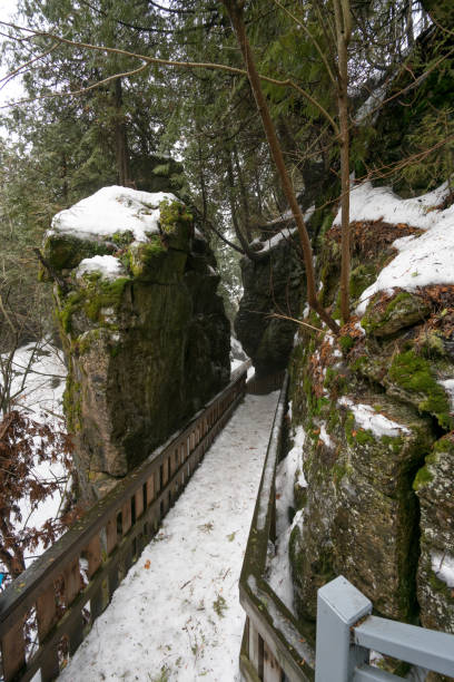 istock picture taken in ontario canada 697773328