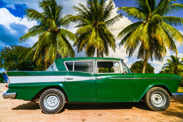 Old american car under Cuban palm on the beach.