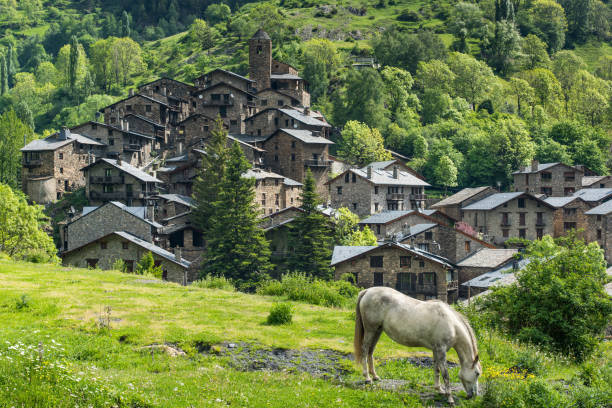 Horse grazing in front of Pyrenees village in Andorra stock photo
