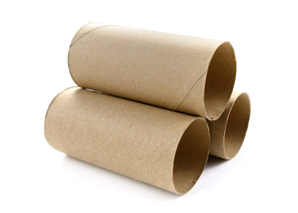 istock Paper roll of bathroom isolated on white background with clipping path 697788724