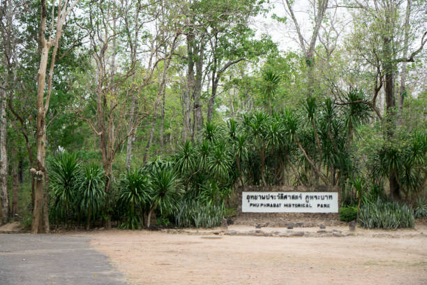 Pru Phra Baht National Park - Udon Thani, Thailand
