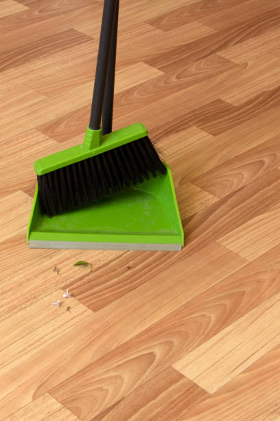 istock Floor brush and scoop 697798520