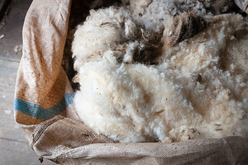 Wool shorn from sheep in shearing bale