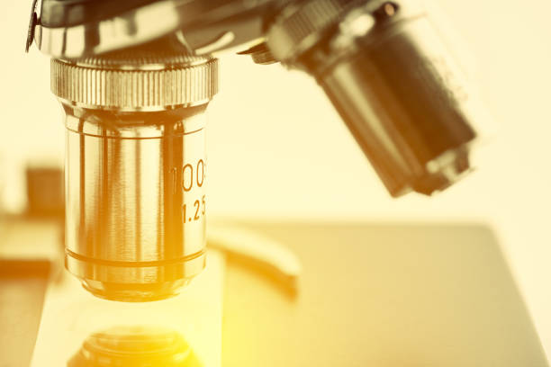 istock Close up of objective lenses with a microscope slide. 697801780