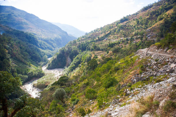 istock the watercourse of the river from mountain 697805390