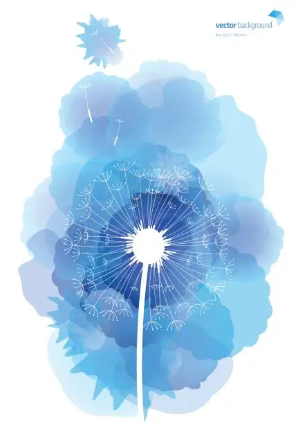 Vector illustration of Dandelion pattern with watercolor textured background