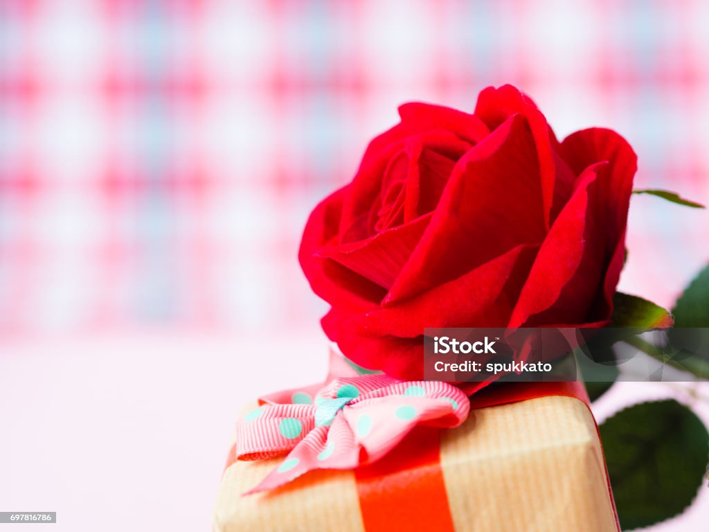 Red rose with gift box. LOVE and valentine's day concept. Beauty Stock Photo