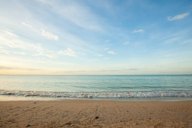 istock Wave of the sea on the sand beach 697823794