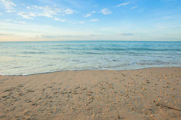 istock Wave of the sea on the sand beach 697823816