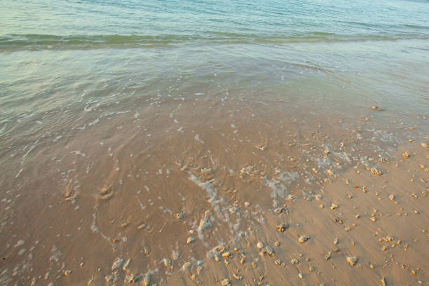 Adriatic Sea coast view. Seashore of Italy, sandy beach and wave, Summer background