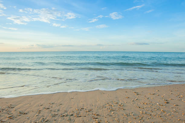 istock Wave of the sea on the sand beach 697827594