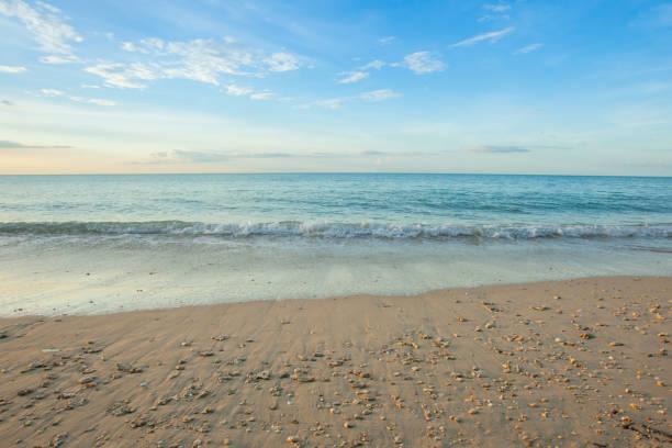 istock Wave of the sea on the sand beach 697827806