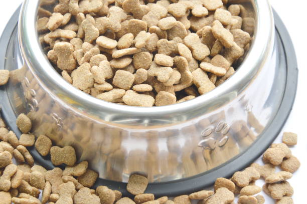 istock dog food in stainless bowl on white background 697834726