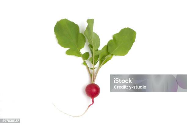 Radish Stock Photo - Download Image Now - Red, Turnip, Brassica rapa