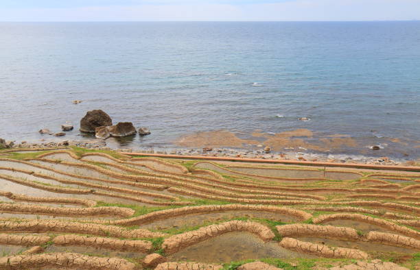 istock Rice paddy terrace Wajima Ishikawa Japan. 697838190