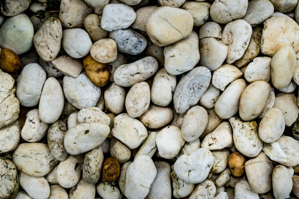 istock White gravel texture 697849560