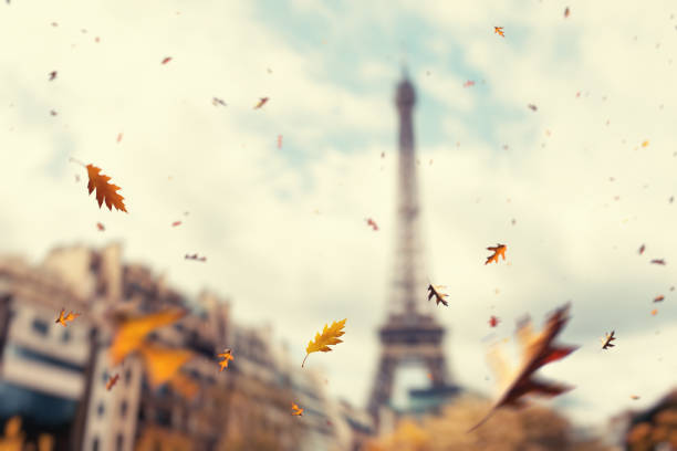 otoño en parís - autumn leaf falling wind fotografías e imágenes de stock