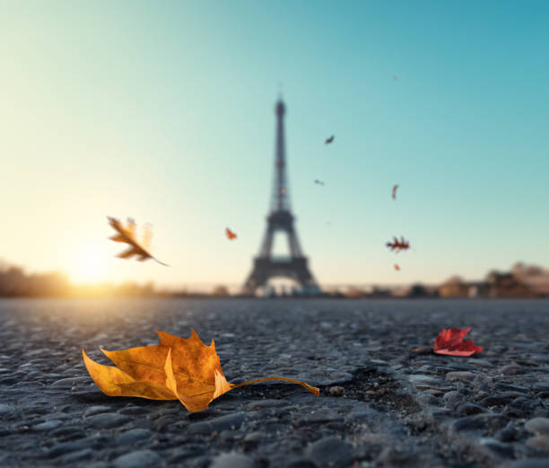 istock Falling Autumn Leaves In Paris 697856110