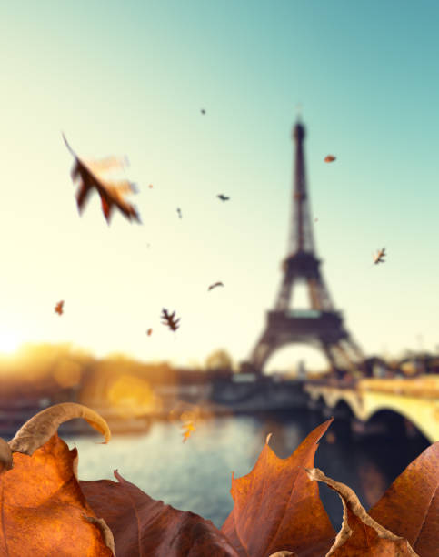 istock Falling Autumn Leaves In Paris 697856160