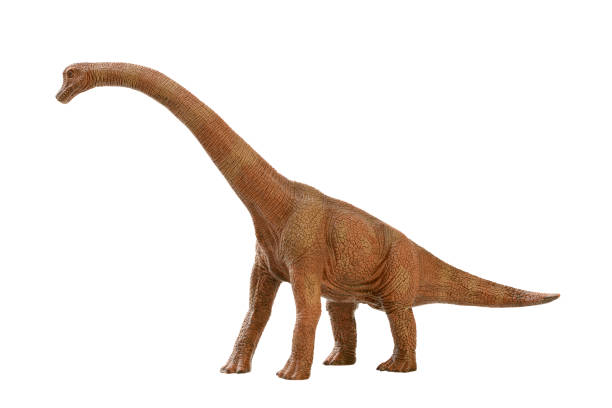 Dinosaur stock photo