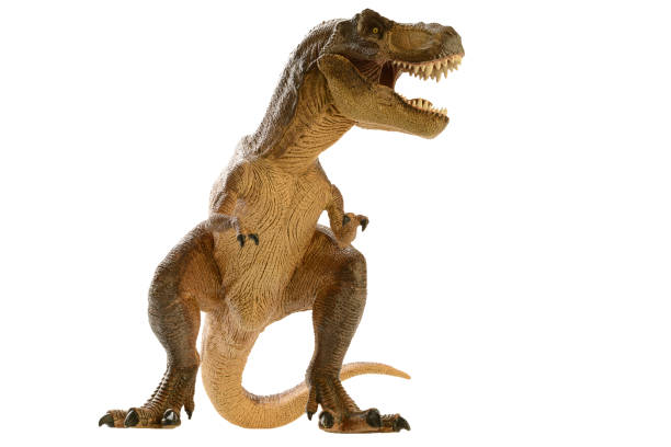 Dinosaur stock photo