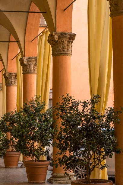 istock Several orange columns with yellow curtains and plants in pots 697860270