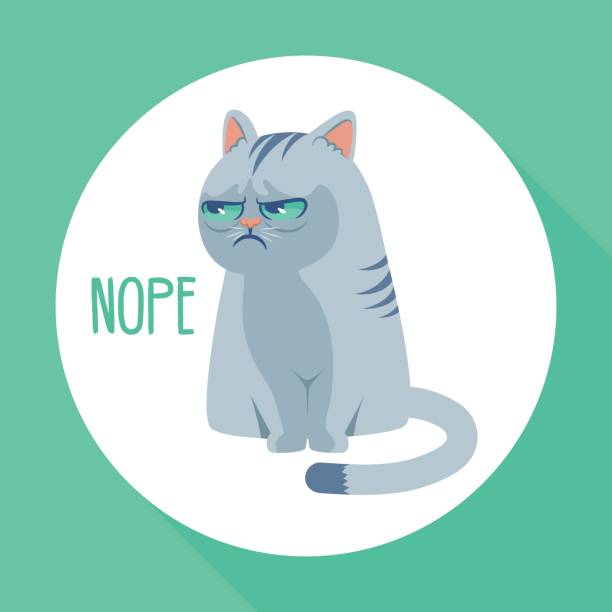 Angry grumpy cat flat vector illustration. Nope kitty on green background vector art illustration