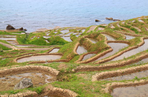 istock Rice paddy terrace Wajima Ishikawa Japan. 697871428