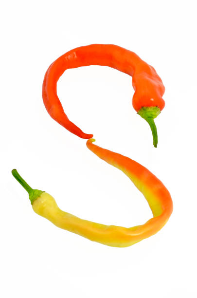 istock chili peppers on a s figure 697872072
