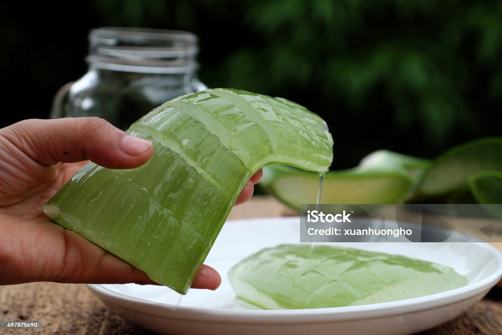 gel d'aloe vera - Photo de Gel d'aloe vera libre de droits